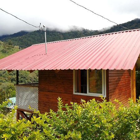 Mario'S Lodge Providencia Copey エクステリア 写真