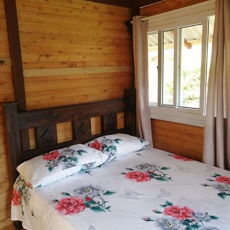 Mario'S Lodge Providencia Copey エクステリア 写真