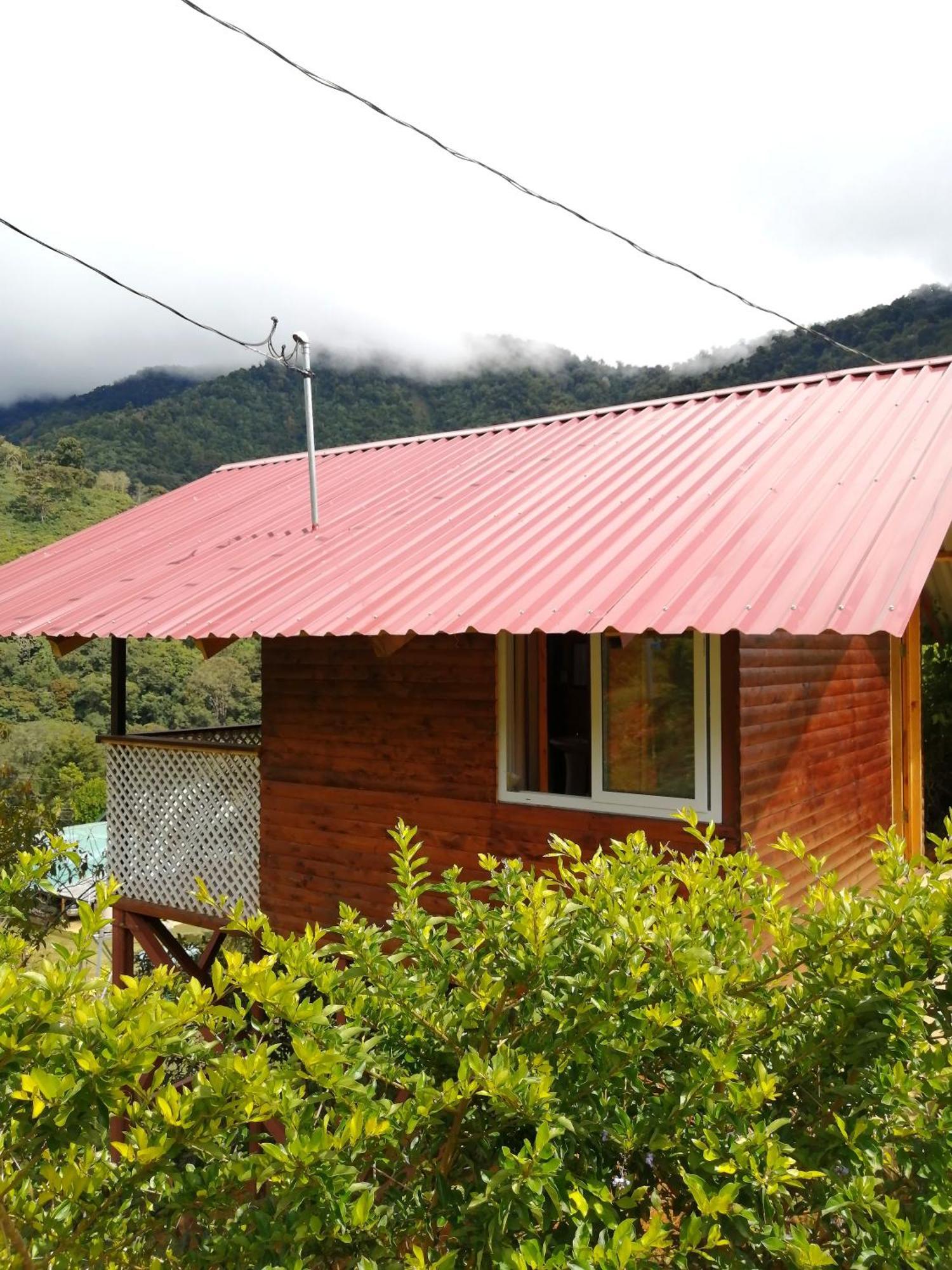 Mario'S Lodge Providencia Copey エクステリア 写真
