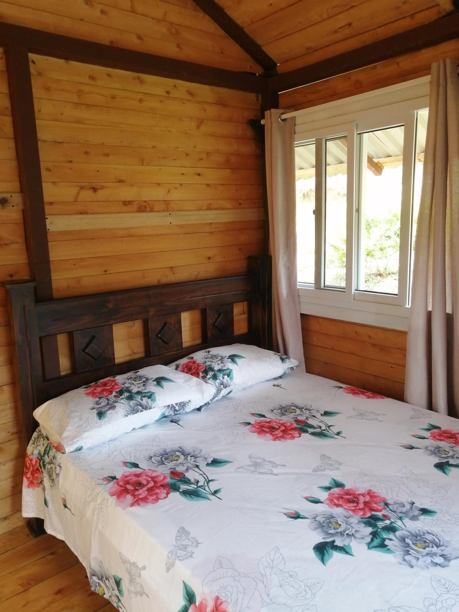 Mario'S Lodge Providencia Copey エクステリア 写真